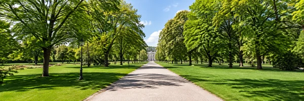 Tree-lined avenue surrounded by greenery in Monza Park